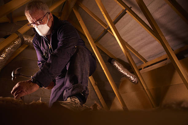 Best Cellulose Insulation in Lexington Hills, CA